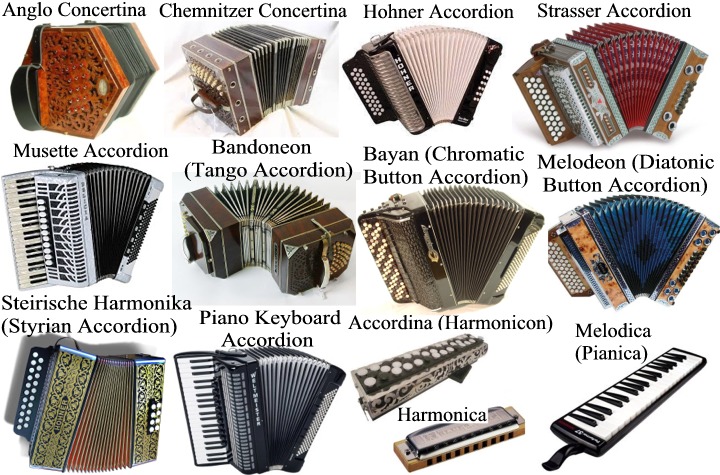 Akkordica allows you to reproduce many different accordion types (diatonic and chromatic) for various genres of musical styles such as Folk, Rock, Blues, Jazz, Polka, Bal-musette, Cajun, Zydeco, Classical, Schrammelmusik, Klezmer, Levenslied, Sevdalinka, Boeremusiek, Forró, Merengue, Cueca, Milonga, Chamamé, Cumbia, Vallenato, Norteño, Tex-Mex, Saltarello, Tarantella, Ceol and Inuit music. Akkordica allows you to reproduce many different accordion types (diatonic and chromatic) for various genres of musical styles such as Folk, Rock, Blues, Jazz, Polka, Bal-musette, Cajun, Zydeco, Classical, Schrammelmusik, Klezmer, Levenslied, Sevdalinka, Boeremusiek, Forró, Merengue, Cueca, Milonga, Chamamé, Cumbia, Vallenato, Norteño, Tex-Mex, Saltarello, Tarantella, Ceol and Inuit music.