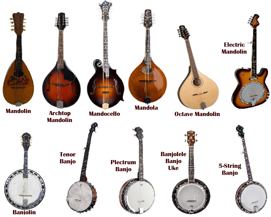 What Is The Difference Between Banjo And Mandolin?. Syntheway Virtual